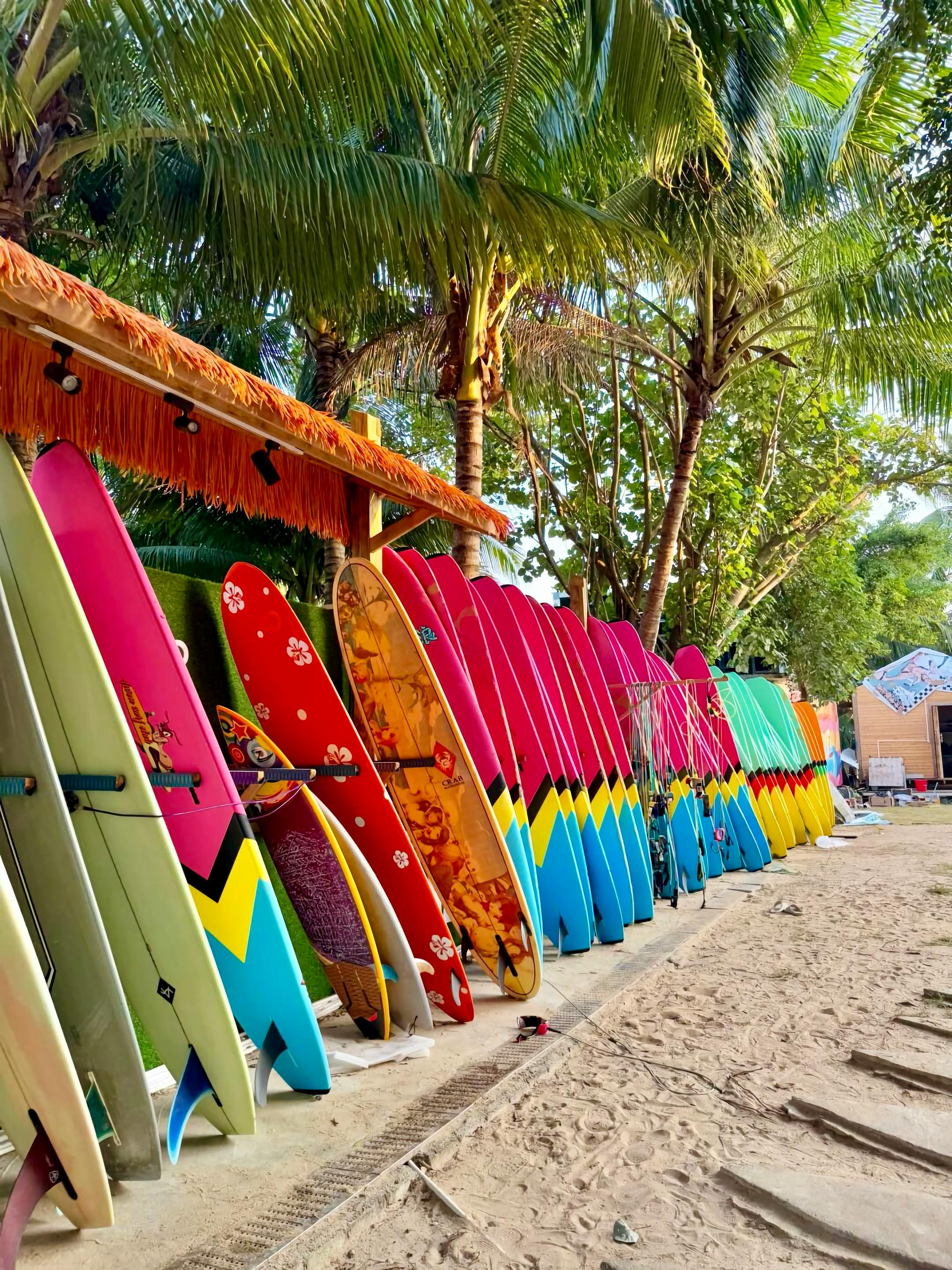 Colorful surfboards lined up under palm trees in Bali